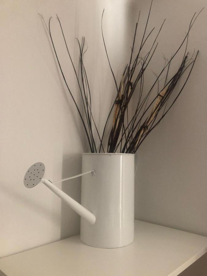 Myroom Sui Portici — Photos 1